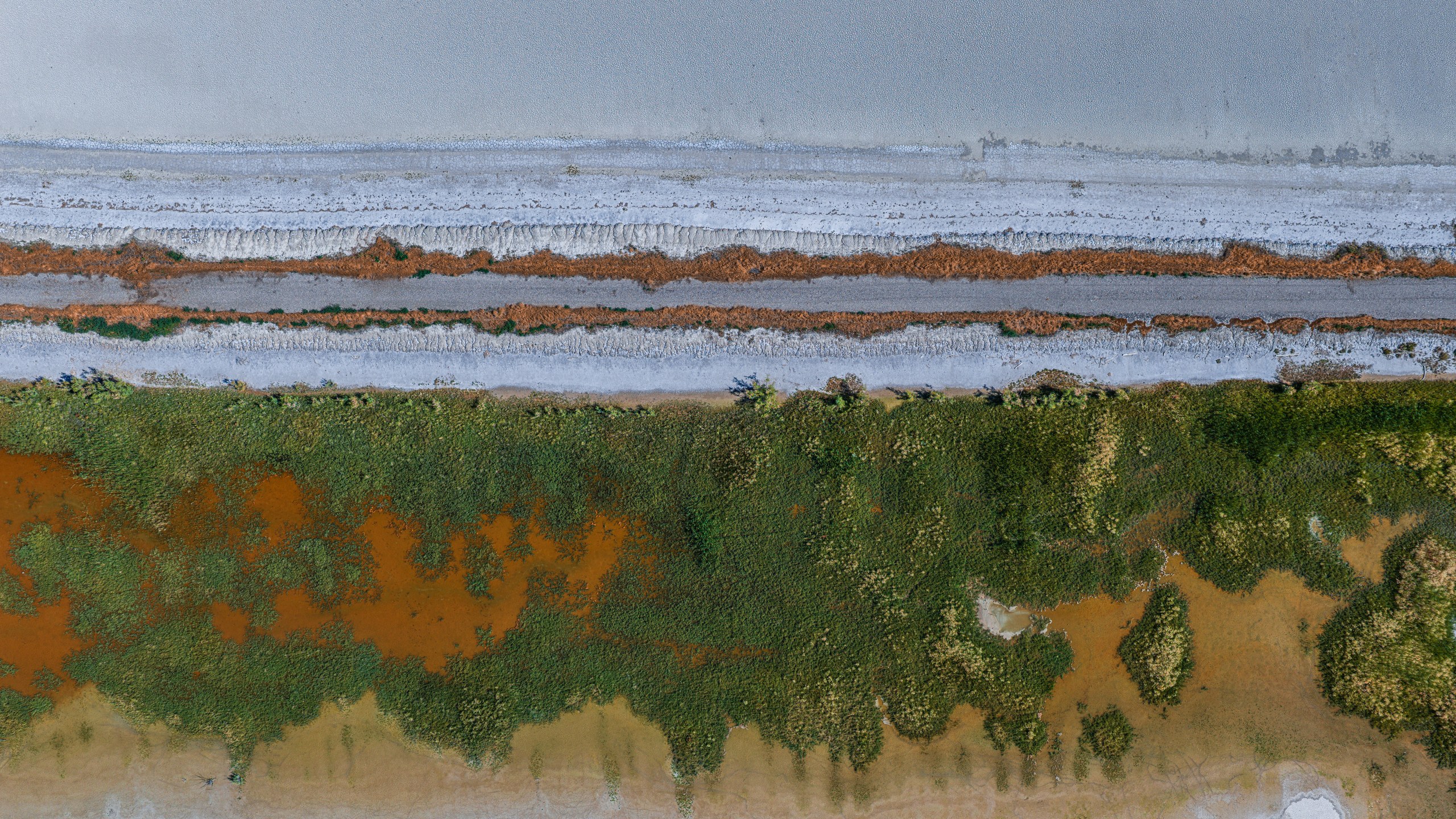 Banded shoreline of the Great Salt Lake — silver water, salt crust, rust and green marsh — from above